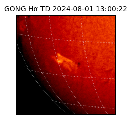 gong - 2024-08-01T13:00:22