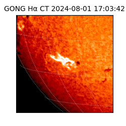 gong - 2024-08-01T17:03:42