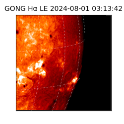 gong - 2024-08-01T03:13:42