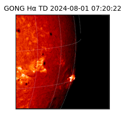 gong - 2024-08-01T07:20:22