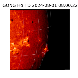 gong - 2024-08-01T08:00:22