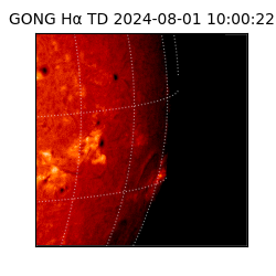 gong - 2024-08-01T10:00:22