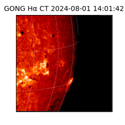 gong - 2024-08-01T14:01:42