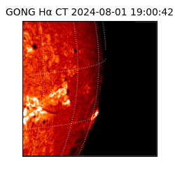 gong - 2024-08-01T19:00:42