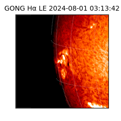 gong - 2024-08-01T03:13:42