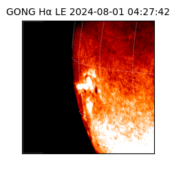 gong - 2024-08-01T04:27:42