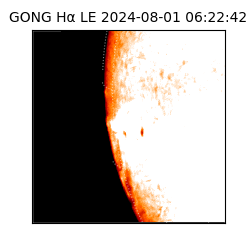 gong - 2024-08-01T06:22:42