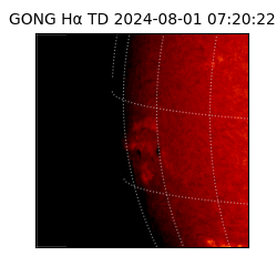 gong - 2024-08-01T07:20:22