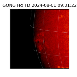 gong - 2024-08-01T09:01:22