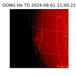 gong - 2024-08-01T11:00:22
