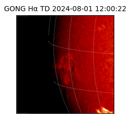 gong - 2024-08-01T12:00:22