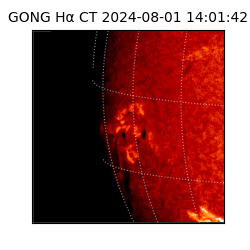 gong - 2024-08-01T14:01:42