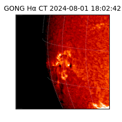 gong - 2024-08-01T18:02:42