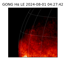 gong - 2024-08-01T04:27:42