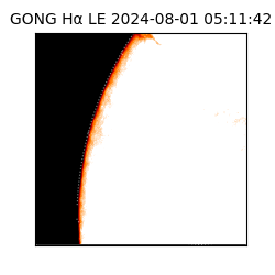 gong - 2024-08-01T05:11:42