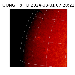 gong - 2024-08-01T07:20:22