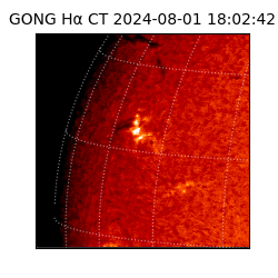 gong - 2024-08-01T18:02:42