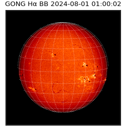 gong - 2024-08-01T01:00:02