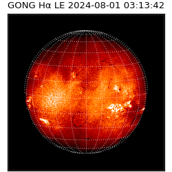 gong - 2024-08-01T03:13:42