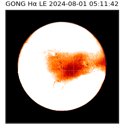 gong - 2024-08-01T05:11:42
