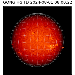 gong - 2024-08-01T08:00:22