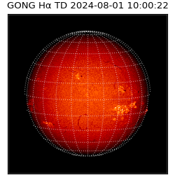 gong - 2024-08-01T10:00:22