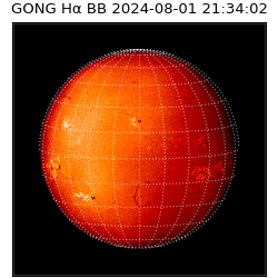 gong - 2024-08-01T21:34:02