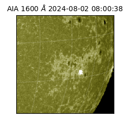 saia - 2024-08-02T08:00:38.126000