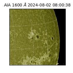 saia - 2024-08-02T08:00:38.126000