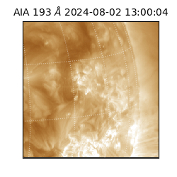 saia - 2024-08-02T13:00:04.846000