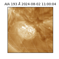 saia - 2024-08-02T11:00:04.846000