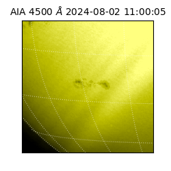 saia - 2024-08-02T11:00:05.963000