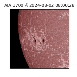saia - 2024-08-02T08:00:28.720000