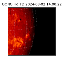 gong - 2024-08-02T14:00:22