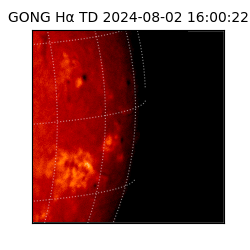 gong - 2024-08-02T16:00:22