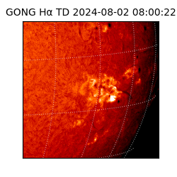 gong - 2024-08-02T08:00:22