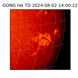 gong - 2024-08-02T14:00:22