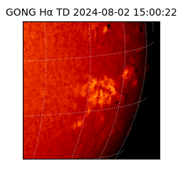 gong - 2024-08-02T15:00:22