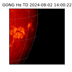 gong - 2024-08-02T14:00:22
