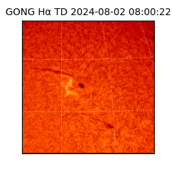 gong - 2024-08-02T08:00:22