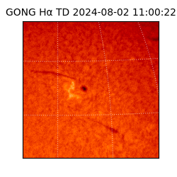 gong - 2024-08-02T11:00:22