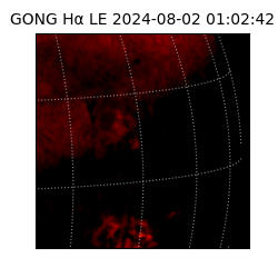 gong - 2024-08-02T01:02:42