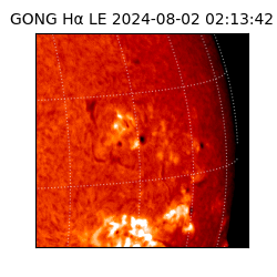 gong - 2024-08-02T02:13:42