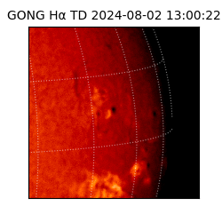 gong - 2024-08-02T13:00:22