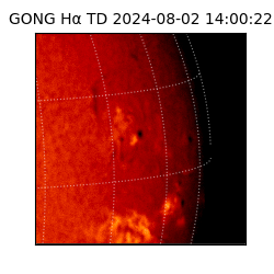 gong - 2024-08-02T14:00:22