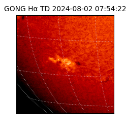 gong - 2024-08-02T07:54:22