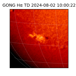 gong - 2024-08-02T10:00:22