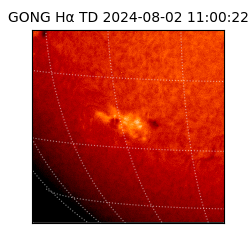 gong - 2024-08-02T11:00:22