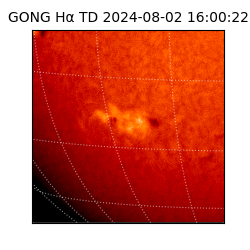 gong - 2024-08-02T16:00:22