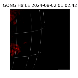 gong - 2024-08-02T01:02:42